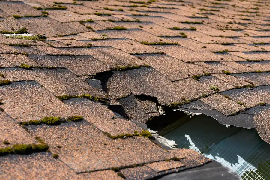Premium Roof Maintenance West Palm Beach, FL