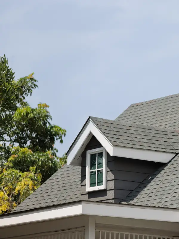 Professional Roofing Services Professional Roofing Services